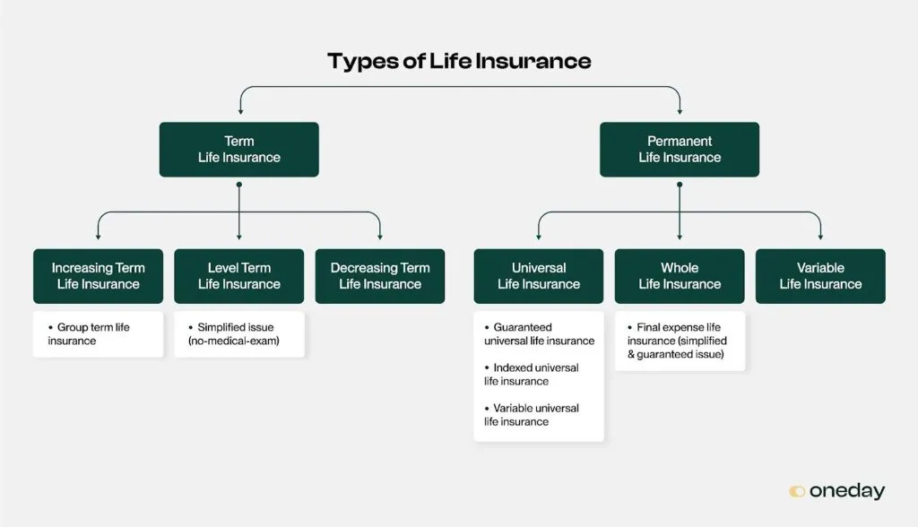 A chart breaking down the various types of life insurance